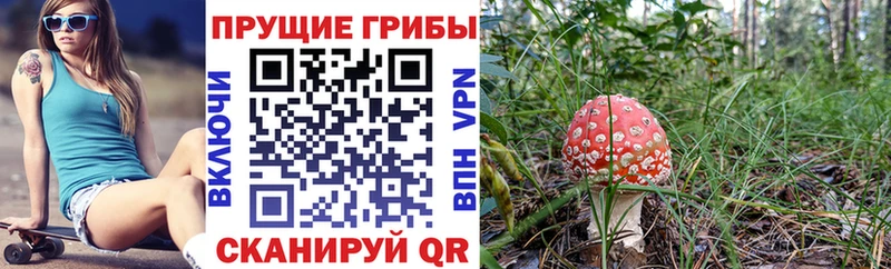 купить наркотик Томилино Псилоцибиновые грибы прущие грибы